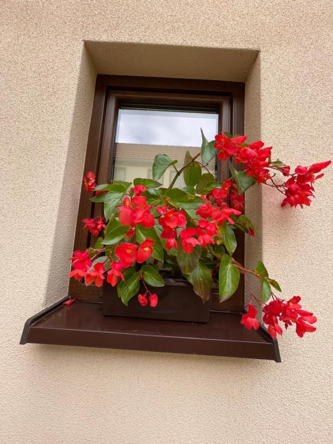 Sloneczne Apartamenty بولانيكا- زدروي المظهر الخارجي الصورة