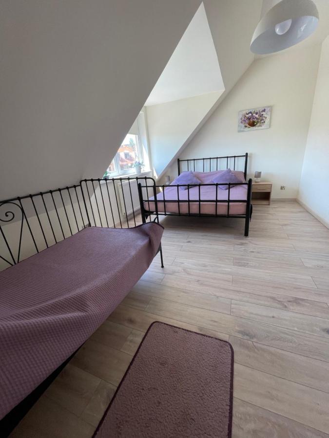 Sloneczne Apartamenty بولانيكا- زدروي المظهر الخارجي الصورة