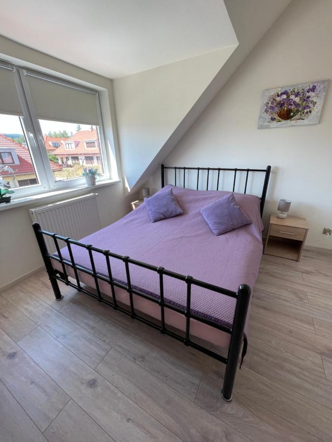Sloneczne Apartamenty بولانيكا- زدروي المظهر الخارجي الصورة